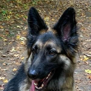 Meet your Posher, Darlene